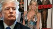Cinsel İçerikli Film Yıldızı Daniels: Trump İle Yaşadığım Geceyi Anlatmaya Hazırım