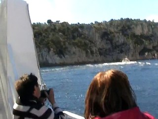 Les calanques en bateau (18)