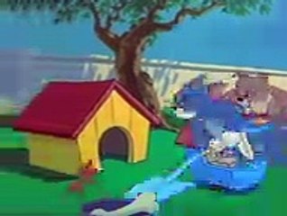 Tom and Jerry Watch Online Episode 82 (1953) Tom and Jerry Full Episodes Old, tv hd 2018 online free