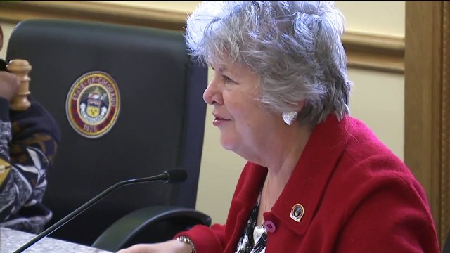 Family of Girl Who Killed Herself as a Result of Bullying Tells Lawmakers to Do More