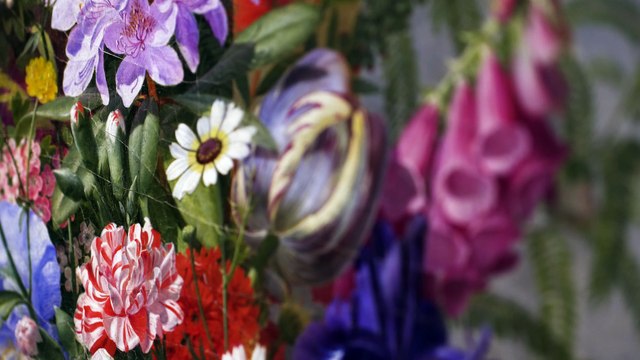 Exposition Les Hollandais à Paris