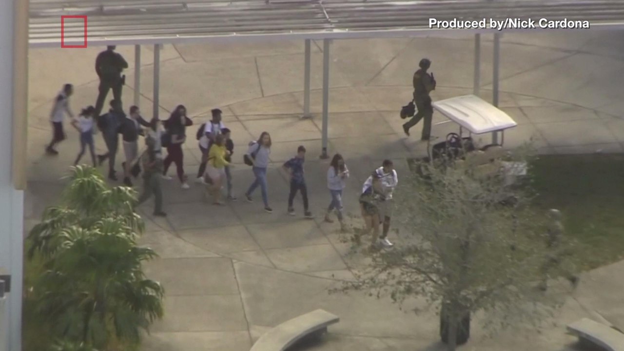 NRA Retweeted Valentine's Day Gun Ad As Florida...