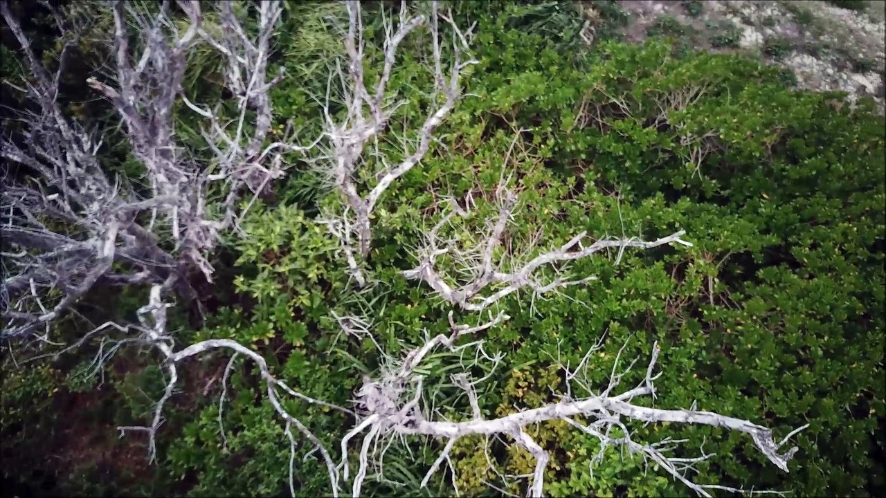Kudaka Island  - Beach Villa - lost Places