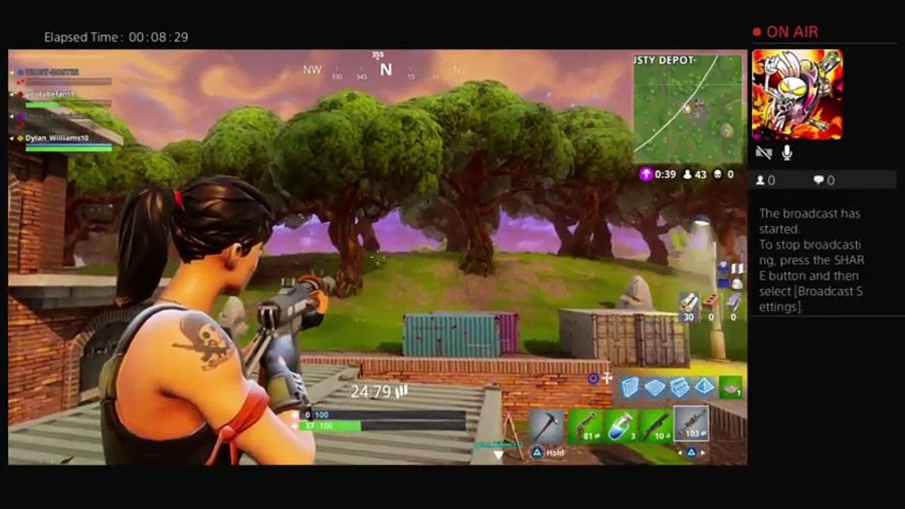 Fortnite (29)