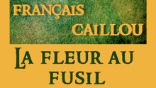 Français caillou/ Définition du jour: "La fleur au fusil"