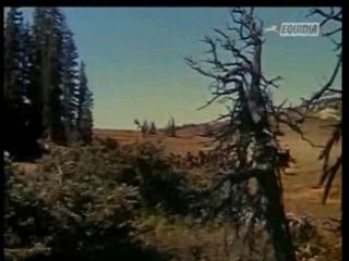 serie western mon amie Flicka