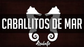 1. Caballitos de mar|Arubato xD| [Fauna] Prod. EdobyBeats