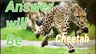 Become a Lion Best Motivational Vedio in hindi