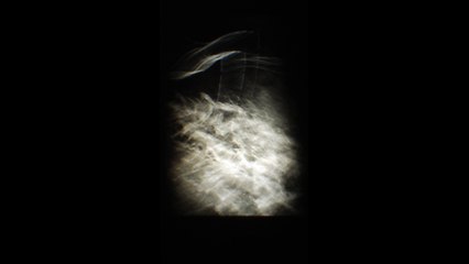 Croissance végétale surgit des glaces