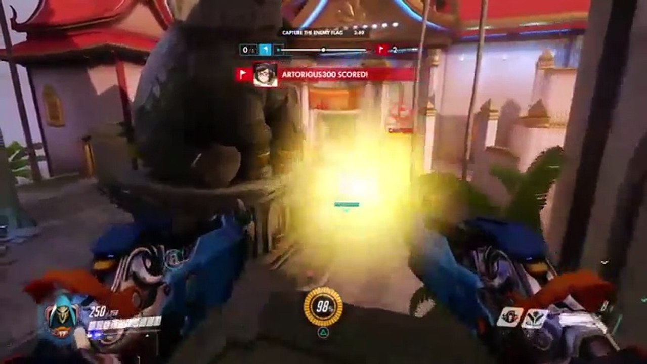 Overwatch: Year of the Dog (25)