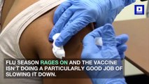 Flu Vaccine Doing Mediocre Job in Preventing Illness