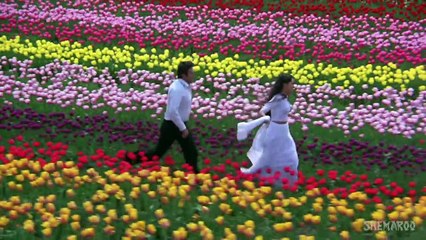 Bhanwre_Ne_Khilaya_Phool_-_Rishi_Kapoor_-_Padmini_Kolhapure_-_Prem_Rog_-_Bollywo