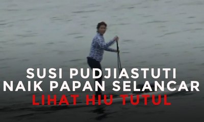 Susi Pudjiastuti Naik Papan Selancar Lihat Hiu Tutul
