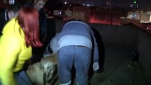 Köpeklerini Kemerle Döven Şahıs Gözaltına Alındı