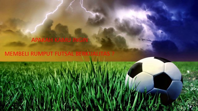 WA + 0813 2000 8163 ! Rumput Futsal Terpercaya (kontraktorfutsalindonesia)