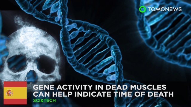 New research reckons genes can point to time of death