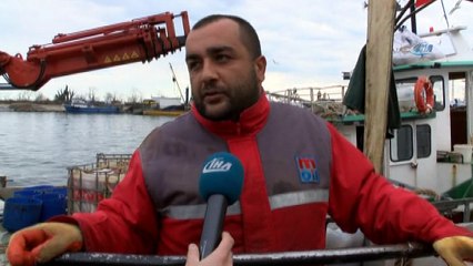 Balıkçılar havuz balığına yöneldi