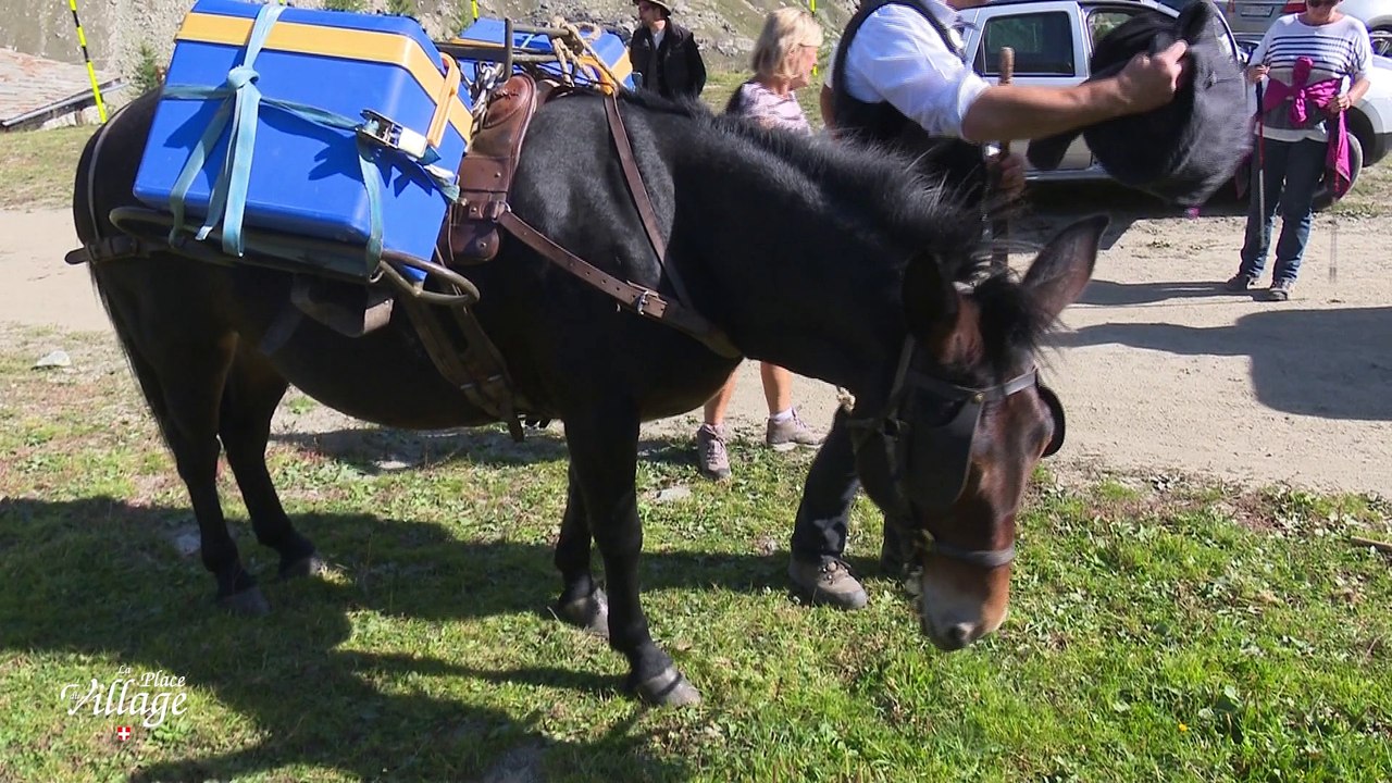 La Place du Village [S.1][E.105] - S1:E105 - Musique et chants de l'Alpe avec Laurent Blanc (épisode 1)