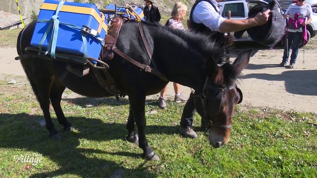 La Place du Village [S.1][E.105] - S1:E105 - Musique et chants de l'Alpe avec Laurent Blanc (épisode 1)