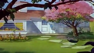 Cartoons For Kids Tom And Jerry English Ep. - Springtime for Thomas  - Cartoons For Kids Tv