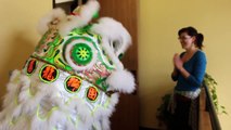 AIMC Berkeley Chinese New Year - Lion Dance