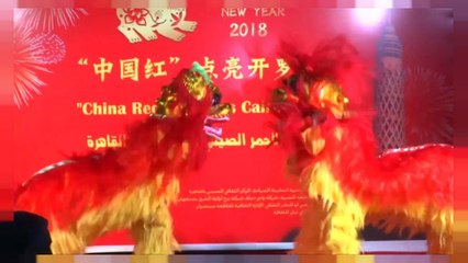 В мире отмечают лунный Нового года