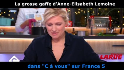 La grosse gaffe d'Anne-Elisabeth Lemoine face à Nicolas Sarkozy dans "C à vous"