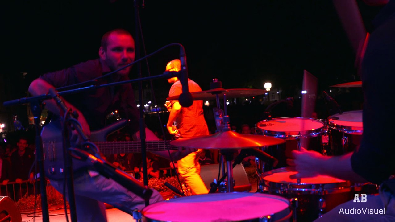 Wailing Trees - FIMU live Belfort mai 2015