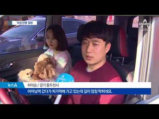 짧은 연휴, 서둘러 집으로…‘귀경 전쟁’ 절정