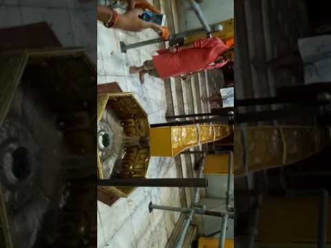 devotees came to see temple open