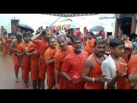 श्रावणी मेला के 12वें दिन शिवरात्रि पर उमड़ा आस्था का सैलाब