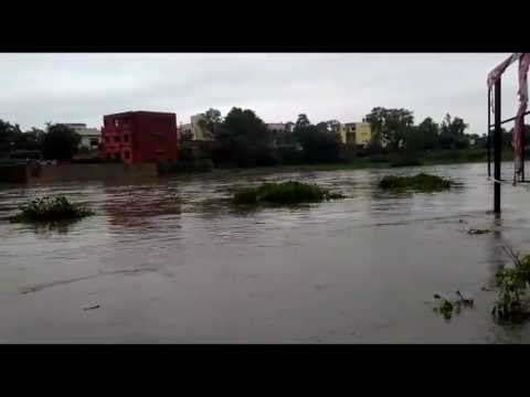 Flood in rivers due to heavy rain in dhanbad, alert for Bengal