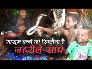 Download Video: मासूम बच्चों का खिलौना हैं जहरीले सांप II Children play with snake in Kanpur U P