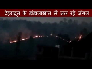 Fire in Jungles of dehradun