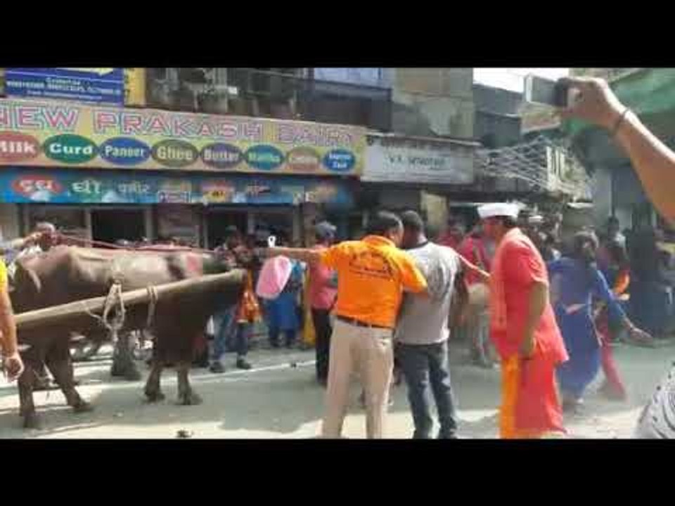 दून में सिंदूर खेला के बाद प्रतिमा विसर्जन