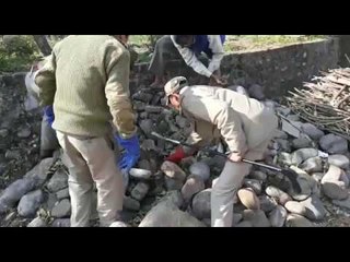 देहरादून : सर्दियों में भी खतरनाक सांप निकलने से लोगों में दहशत