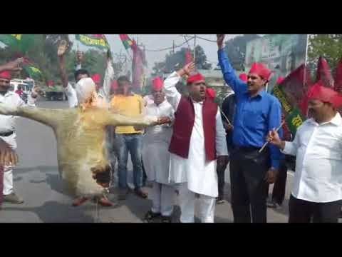 देहरादून में सपा कार्यकर्ताओं ने सरकार के खिलाफ किया प्रदर्शन