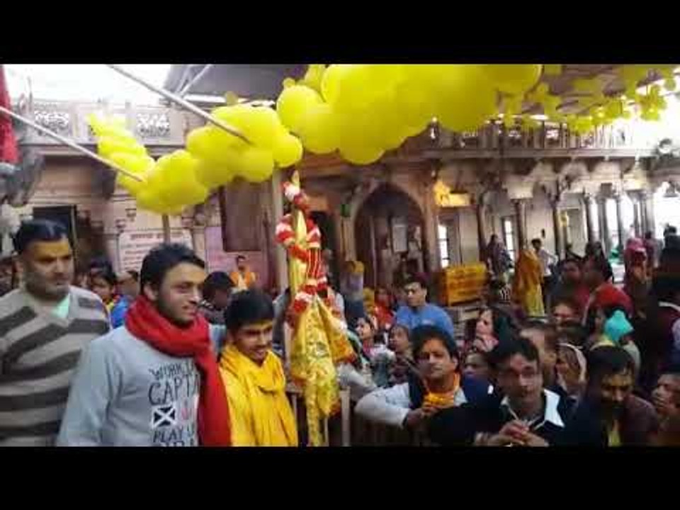श्री जी के धाम बरसाना रासेश्वरी के श्री चरणों मे गुलाल अर्पित कर रोपा डांडा