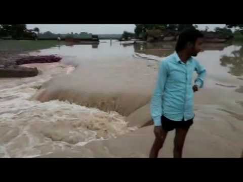 बहराइच में बाढ़ का पानी घरों में घुसा, पेड़ों पर चढ़ कर बचाई जान