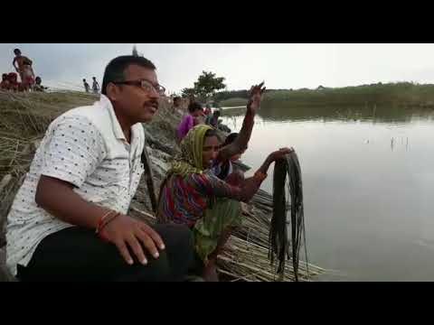अररिया से ग्राउंड रिपोर्ट: तबाही के निशां बाकी, टापू पर जिंदगी बिताने को मजबूर पीड़ित