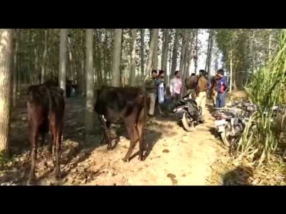 लक्सर के गांव में गोकशी पकड़ी, दो कुंतल गोमांस बरामद