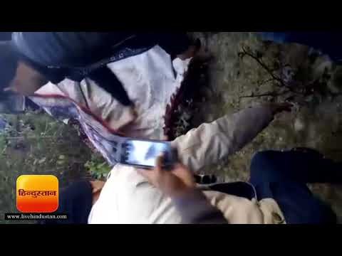 बागेश्वर के धपोलासेरा गांव में दिन दहाड़े घुसा तेंदुआ पकड़ा II Leopard, Haldwani