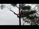 Insistence of temple inauguration from CM Yogi man climbs on tree