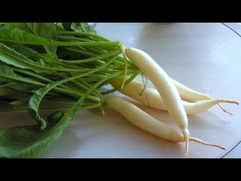 Health tip || सर्दियों में रोज सुबह खाएं मूली, नहीं होगा सर्दी-जुकाम || Hindustan Health
