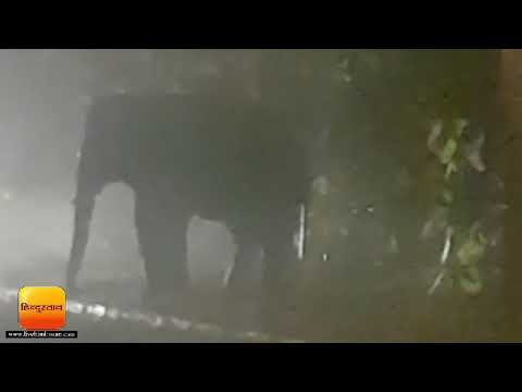 हरिद्वार में सड़क पर आया हाथी, डर में आकर लोगों ने दूर खड़े किए वाहन