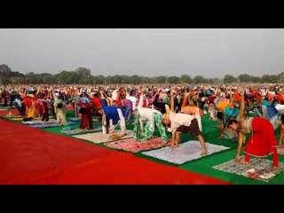 Four thousand people took part in Yoga parade