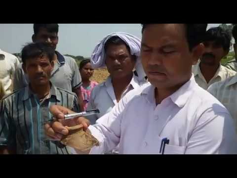 फर्रुखाबाद में मिट्टी की मटकियों से निकले पुराने सिक्के II Old coins in Farrukhabad