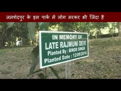 After the death of person family member planted a tree in a park