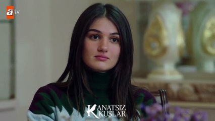 Muzaffer’i öven Onur! - Kanatsız Kuşlar 34.Bölüm