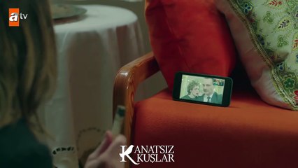 Tuba amacına ulaşıyor mu? - Kanatsız Kuşlar 34.Bölüm